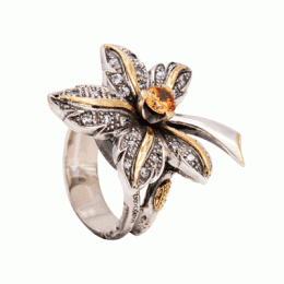 anel-eugenio-campos-jewels-compreensao-j-10-090-img-b